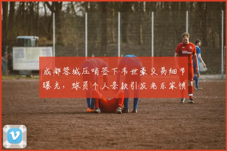 成都蓉城压哨签下韦世豪交易细节曝光，球员个人条款引发老东家愤怒